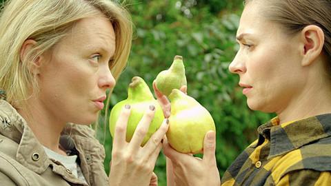 Herbář - Chutě z ráje