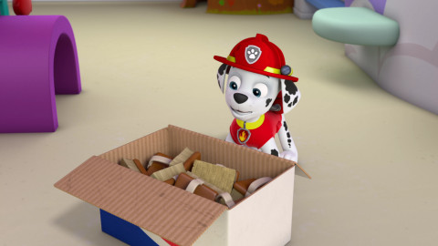 Tlapková patrola - Tlapky a hlídací dobrodružství / Tlapky zachraňují ohňostroj