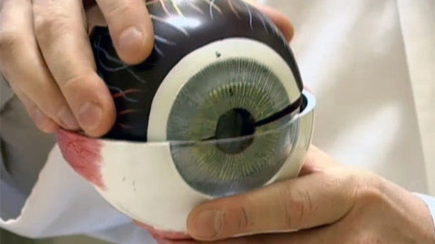 Alchymie bytí - Ostře sledované zraky