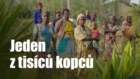 Jeden z tisíců kopců