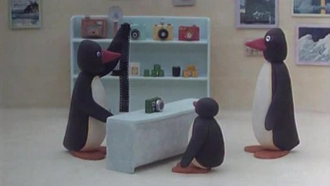 Pingu - Fotograf