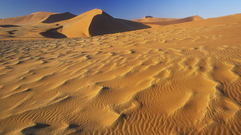 Přírodní mikrosvěty - Poušť Namib