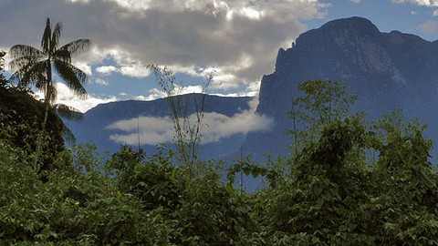 Štětcem a mačetou
