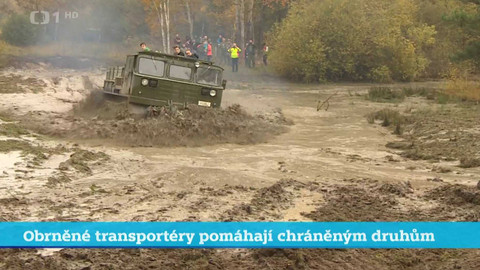 Události v regionech (sever a východ) - 29. října 2024