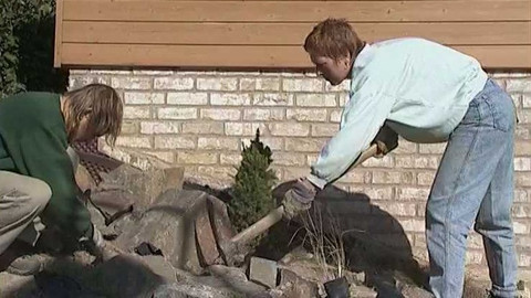 Zahrada je hra - 25. ledna 2007