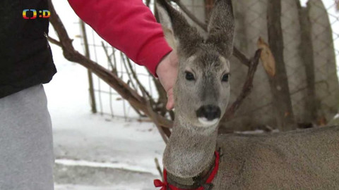 Zprávičky - 10. prosince 2021