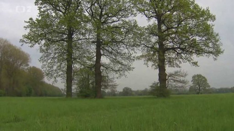 Nedej se! - Josefovské louky