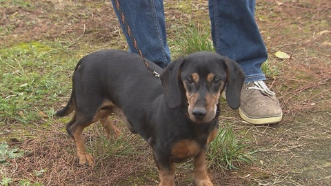 Chcete mě? - Chcete je?