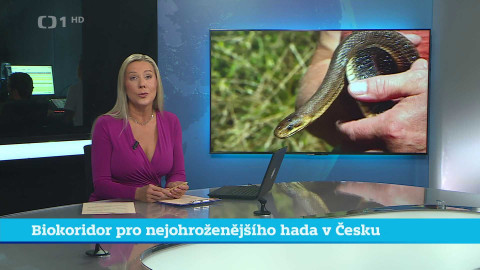 Události v regionech (jih a západ) - 29. července