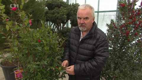 Hobby naší doby - 20. února 2021