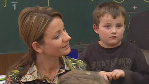 Tykadlo - Rok 2008 a jeho bilance