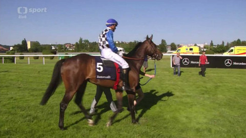 Jezdectví - České derby 2016