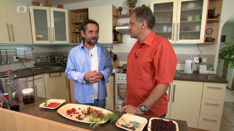 Polopatě - 29. září 2019