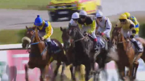 Jezdectví - Sezona v sedle