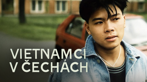 Vietnamci v Čechách
