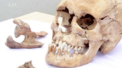 Týden v regionech (Brno) - 14. března 2020