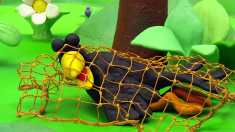 Žížaláci - Pavučina