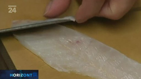 Horizont ČT24 - 8. dubna 2012