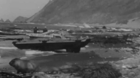 Televizní noviny - 23. ledna 1968