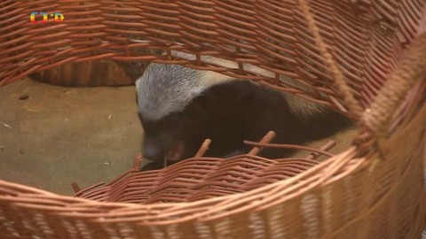 Zprávičky - 26. dubna 2020