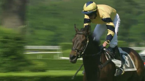 Jezdectví - II. kvalifikace na Velkou pardubickou