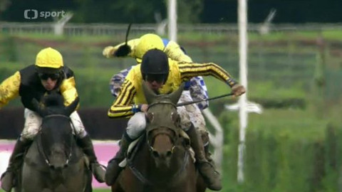 Turf - 17. září 2014