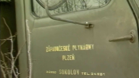 Archiv dne - 9. leden 1990: Stromy nebo plynovod?