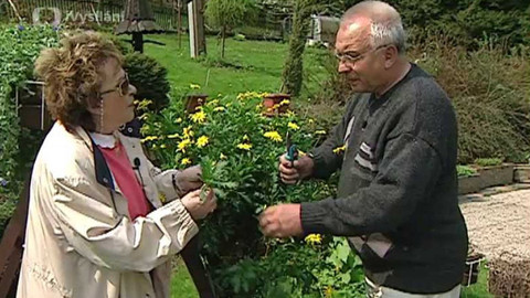 Dobrá rada nad zlato - 28. dubna 2007