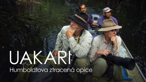 Uakari, Humboldtova ztracená opice