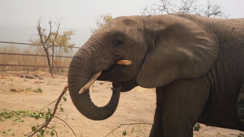 Po jedné stopě - 12/13 Togo, kolébka vúdú