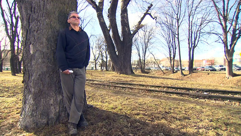 Nedej se! - Účast veřejnosti v ohrožení