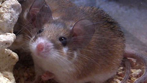 Máte mě! - 15. ledna 2012