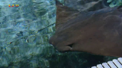 Terčin zvířecí svět - 2. prosince 2022