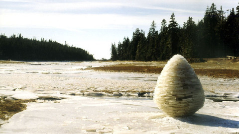 Andy Goldsworthy - Epizoda 1/2
