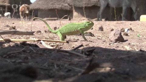 Objektiv - 1. března 2020