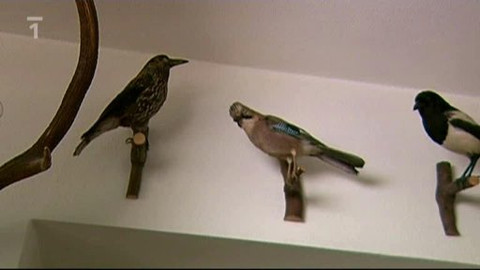 Kuchařská pohotovost - Z Krakonošovy kuchyně