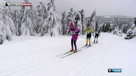 Jizerská 50 - ČEZ Jizerská 50