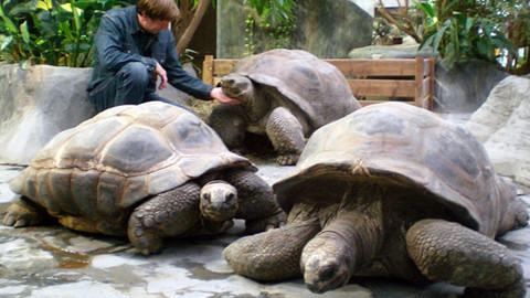 Máte mě! - 11. prosince 2011