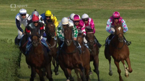 Dostihy - Svatováclavská cena