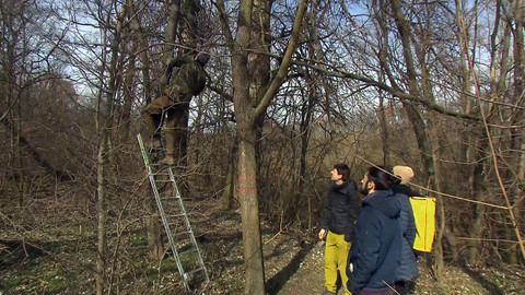 Nedej se! - Brontosauři na Podluží