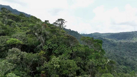 Nedej se! - Češi zachraňují Amazonii