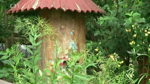 Toulavá kamera - 6. září 2015