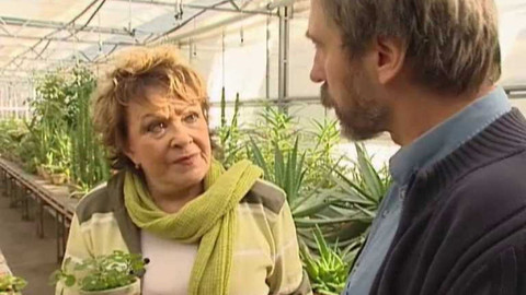 Dobrá rada nad zlato - 2. května 2009