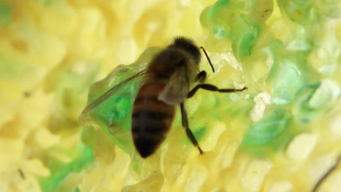 Podivuhodné přírodní úkazy - Epizoda 2/3