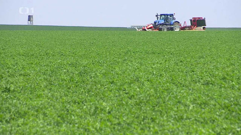 Týden v regionech (Brno) - 14. května 2022