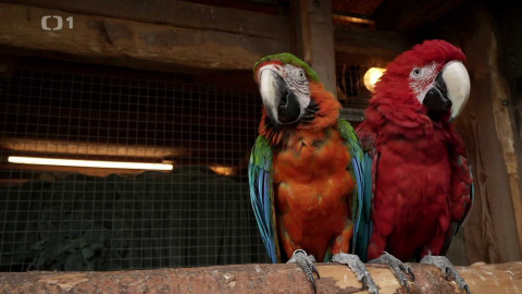 Polopatě - 2. listopadu