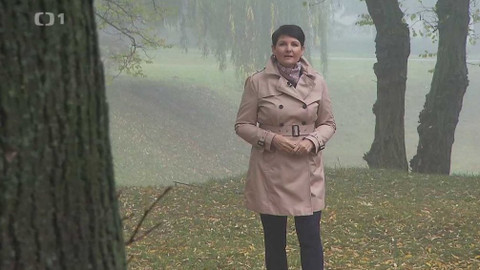 Černé ovce - 29. října 2019