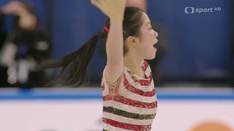 Grand Prix v krasobruslení - GP Francie