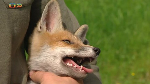 Náš zvěřinec - Záchranná stanice Pavlov