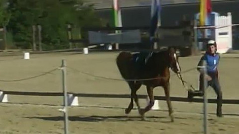 Jezdectví - ME juniorů a mladých jezdců